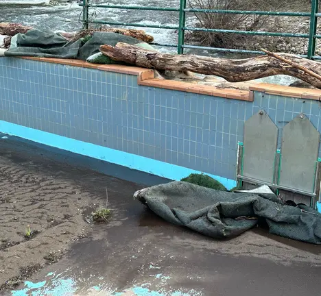 estado da piscina na Carixa